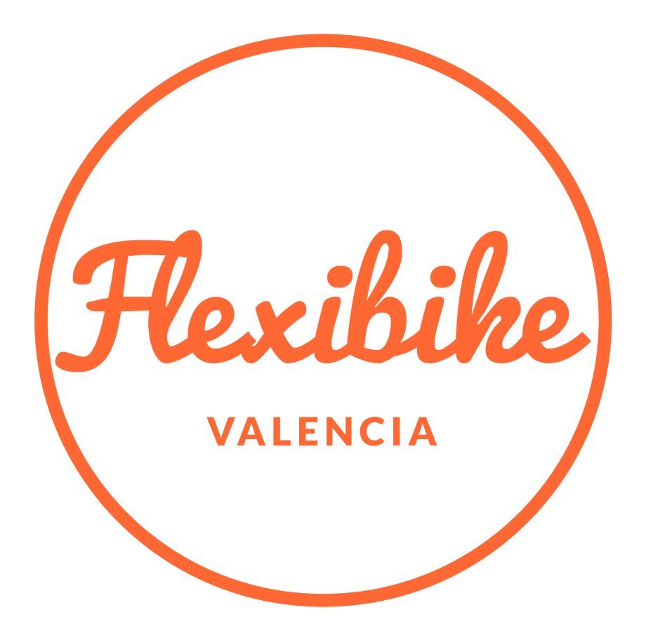 logo flexibike